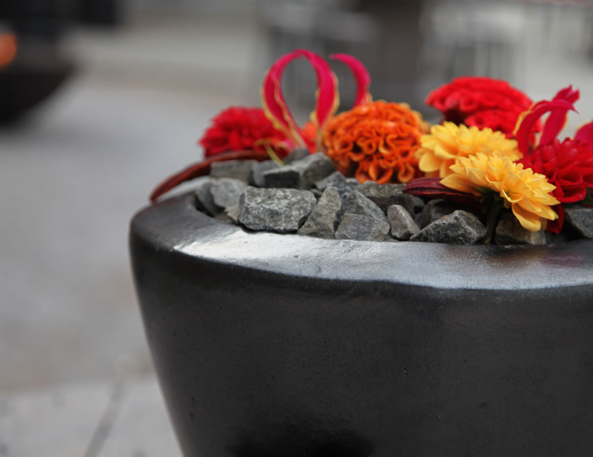 lorem ipsum dolor sit